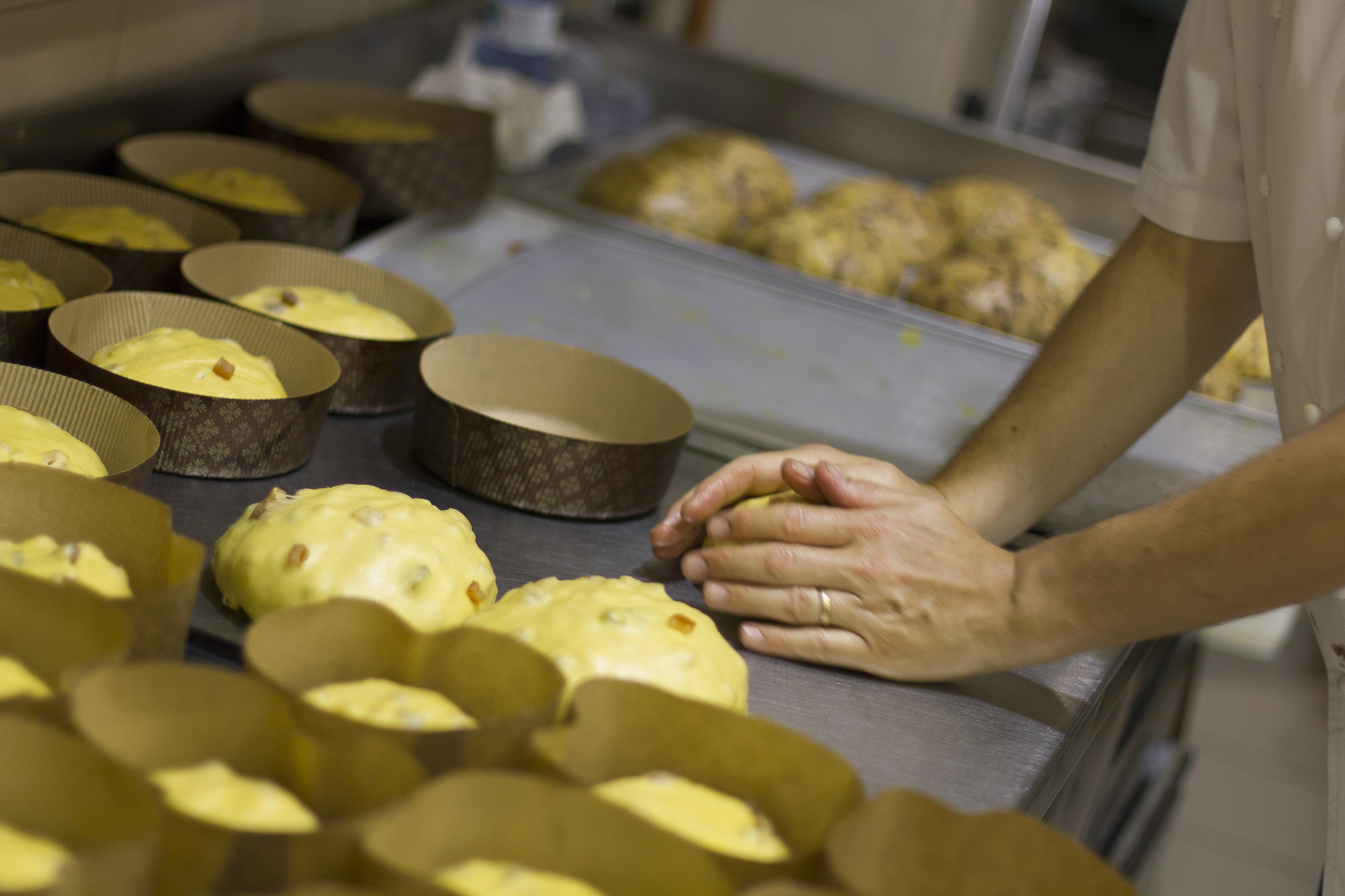 Christmas for Italians means choosing between: Panettone or Pandoro? Christmas for Italians means choosing between: Panettone or Pandoro?